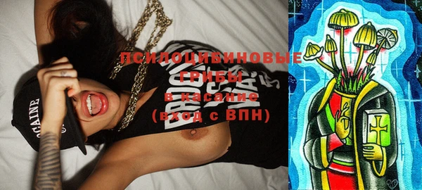 mix Белокуриха