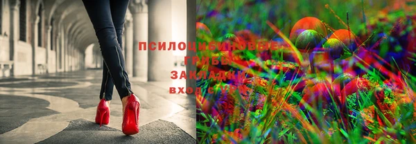 твердый Белоозёрский